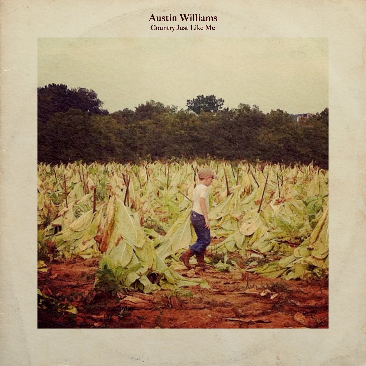 Music – Austin Williams